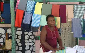 free photo of woman microfinance (1)